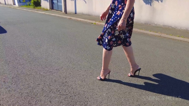 BLACK SLM  MULES LITTLE DRIVING AND WALKING 