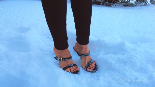 BLACK HSM MULES IN THE SNOW