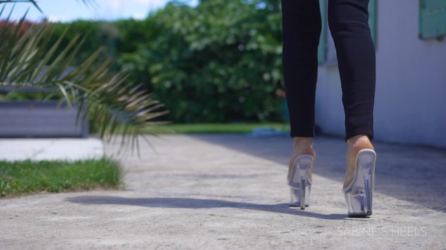 3 VIDEOS WITH PLEASER CLEAR MULES
